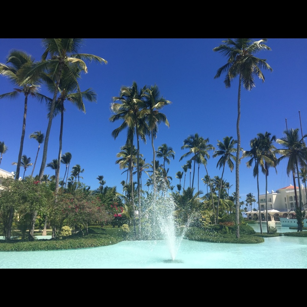 Meet your Posher, Sharon